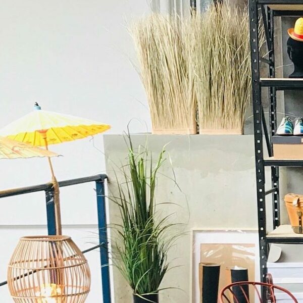 Showroom1